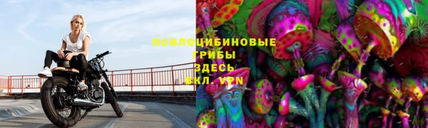 трава Майский