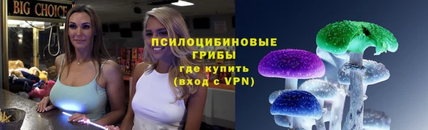 apvp Медвежьегорск