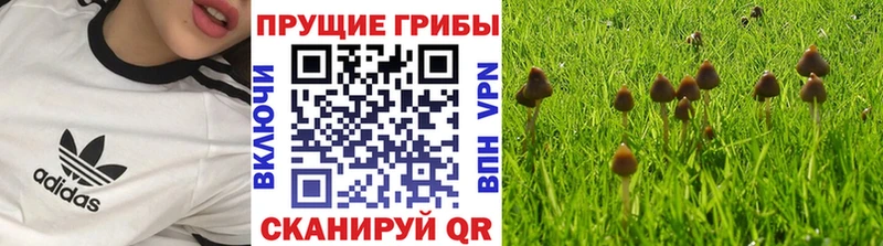 Псилоцибиновые грибы MAGIC MUSHROOMS  Лермонтов 